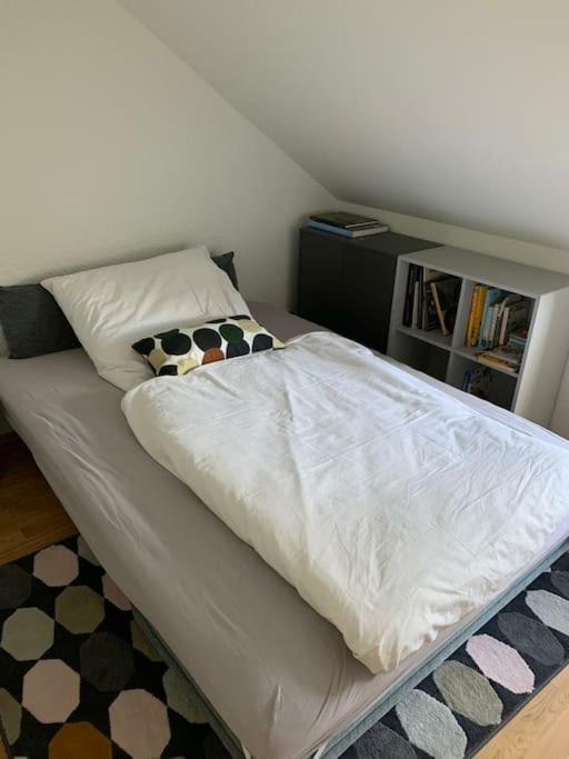 Wohnung Mit Einer Sauna Direkt Am Park 威斯巴登 外观 照片